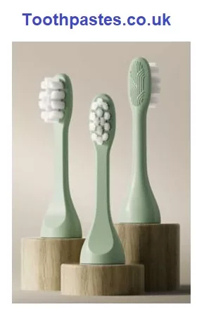 SURI Replacement Toothbrush Heads Winter Fern 3x Head